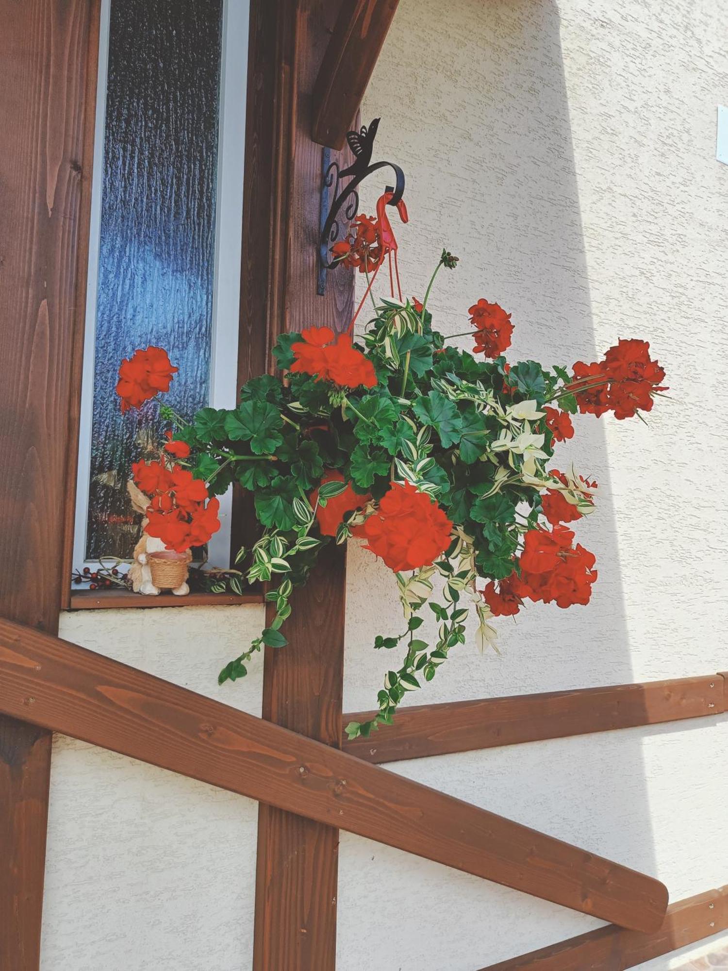 Residence Rooms Bucovina Câmpulung Moldovenesc Exterior foto