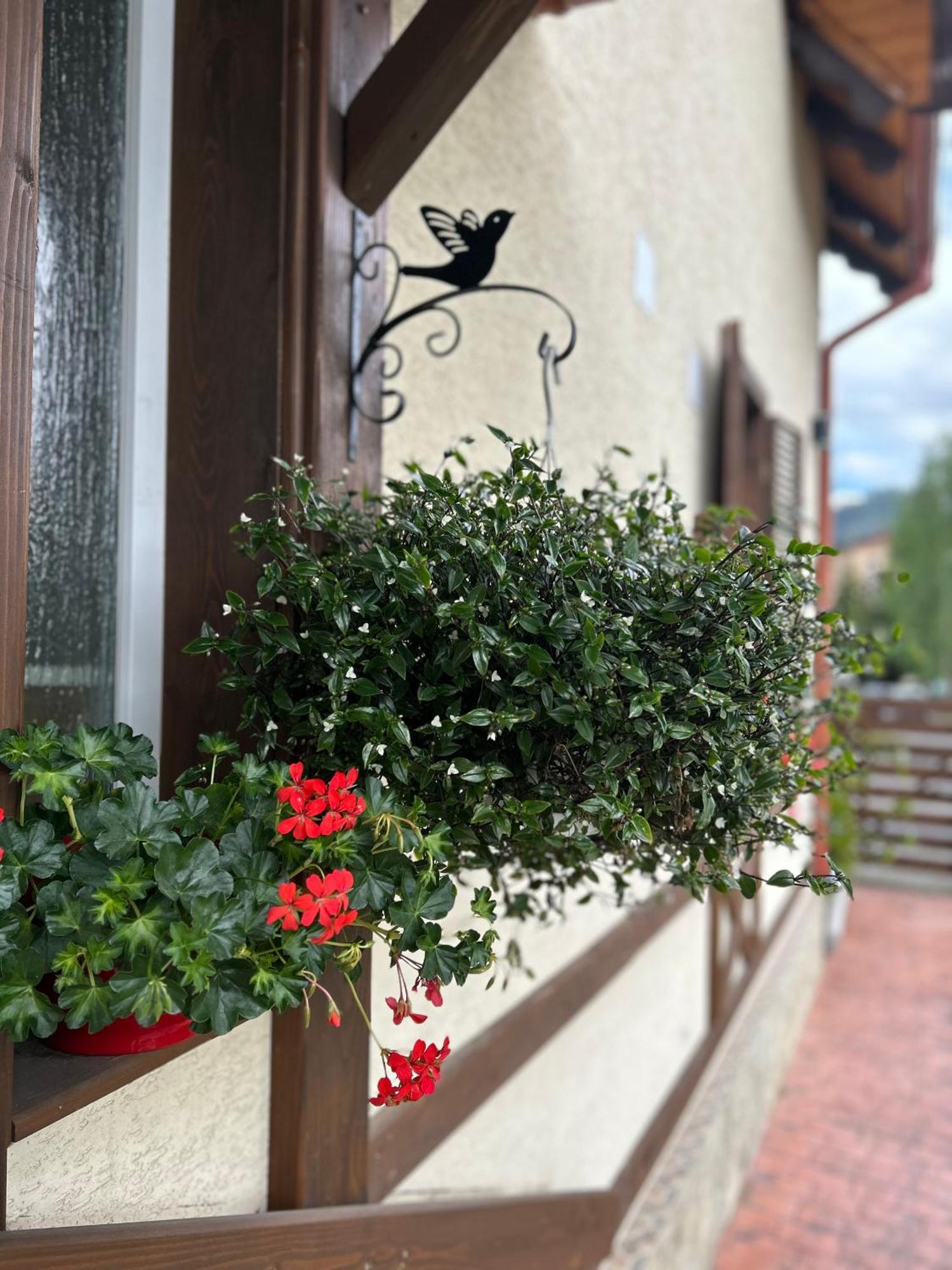Residence Rooms Bucovina Câmpulung Moldovenesc Exterior foto