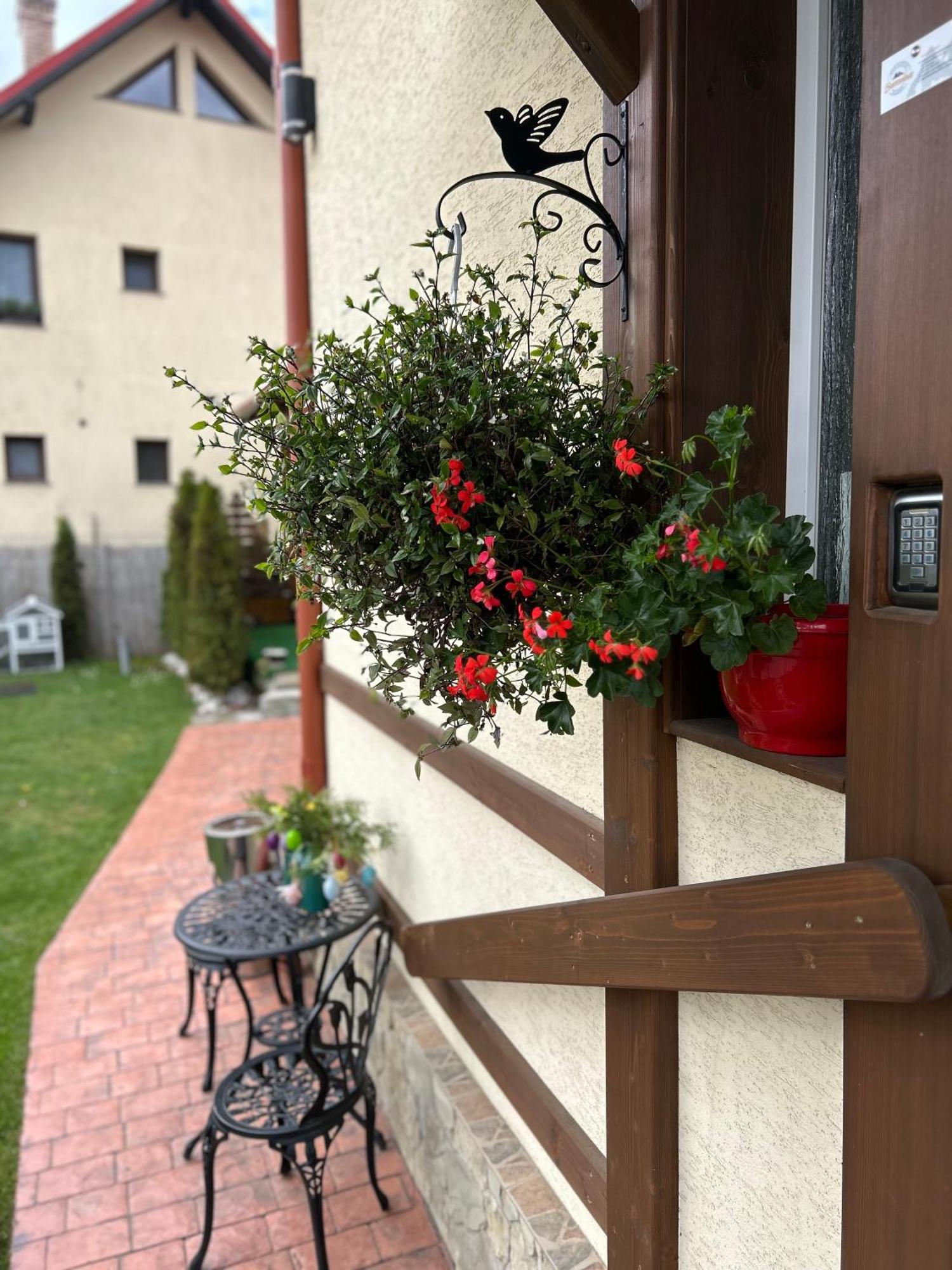 Residence Rooms Bucovina Câmpulung Moldovenesc Exterior foto